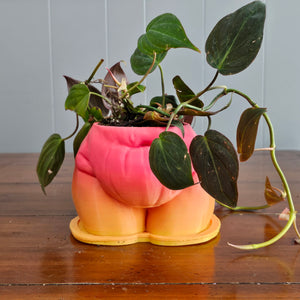"Fanny" Planter