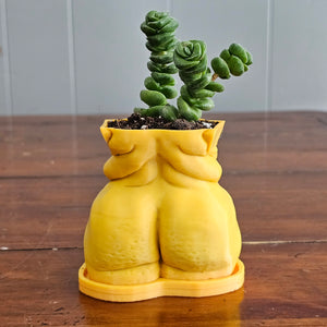 "Frankie" Planter