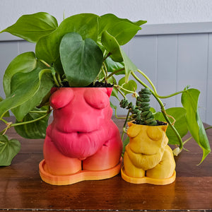 "Frankie" Planter