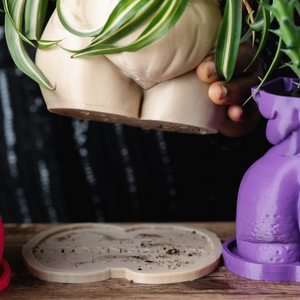 "Fanny" Planter