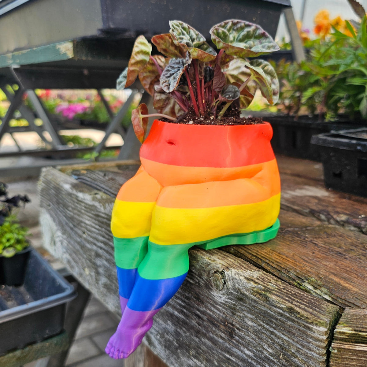 Mystery *Demo* Planters