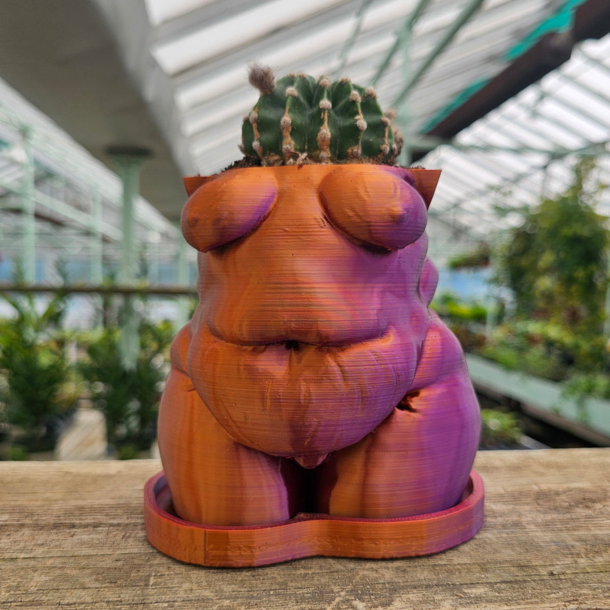 "Frankie" Planter