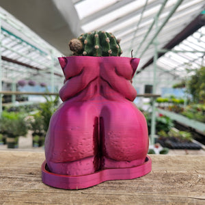 "Frankie" Planter