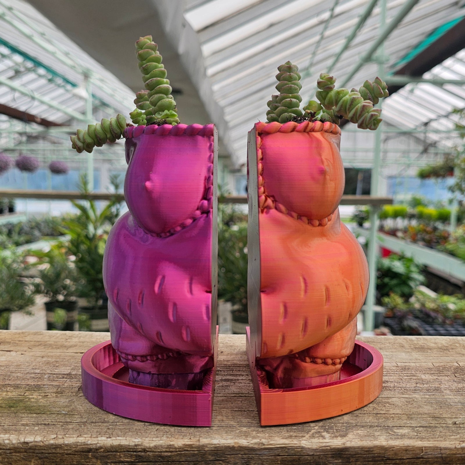 "Robin" Bookend Planter Set