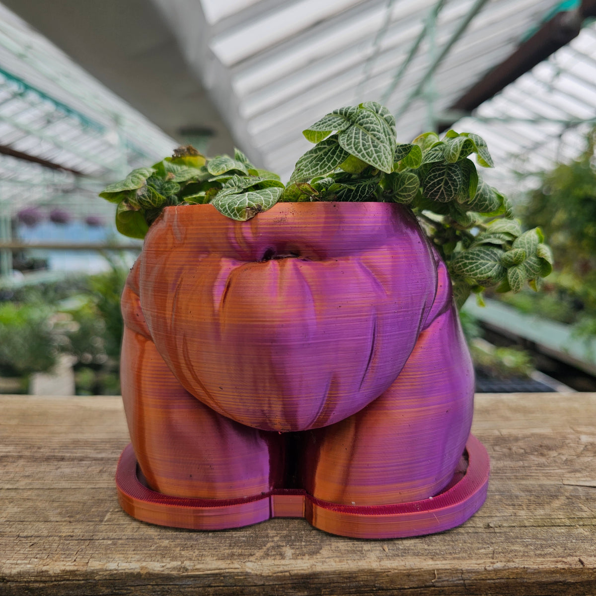 "Fanny" Planter