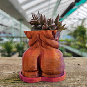 "Frankie" Planter