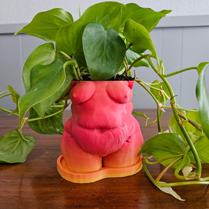 "Frankie" Planter