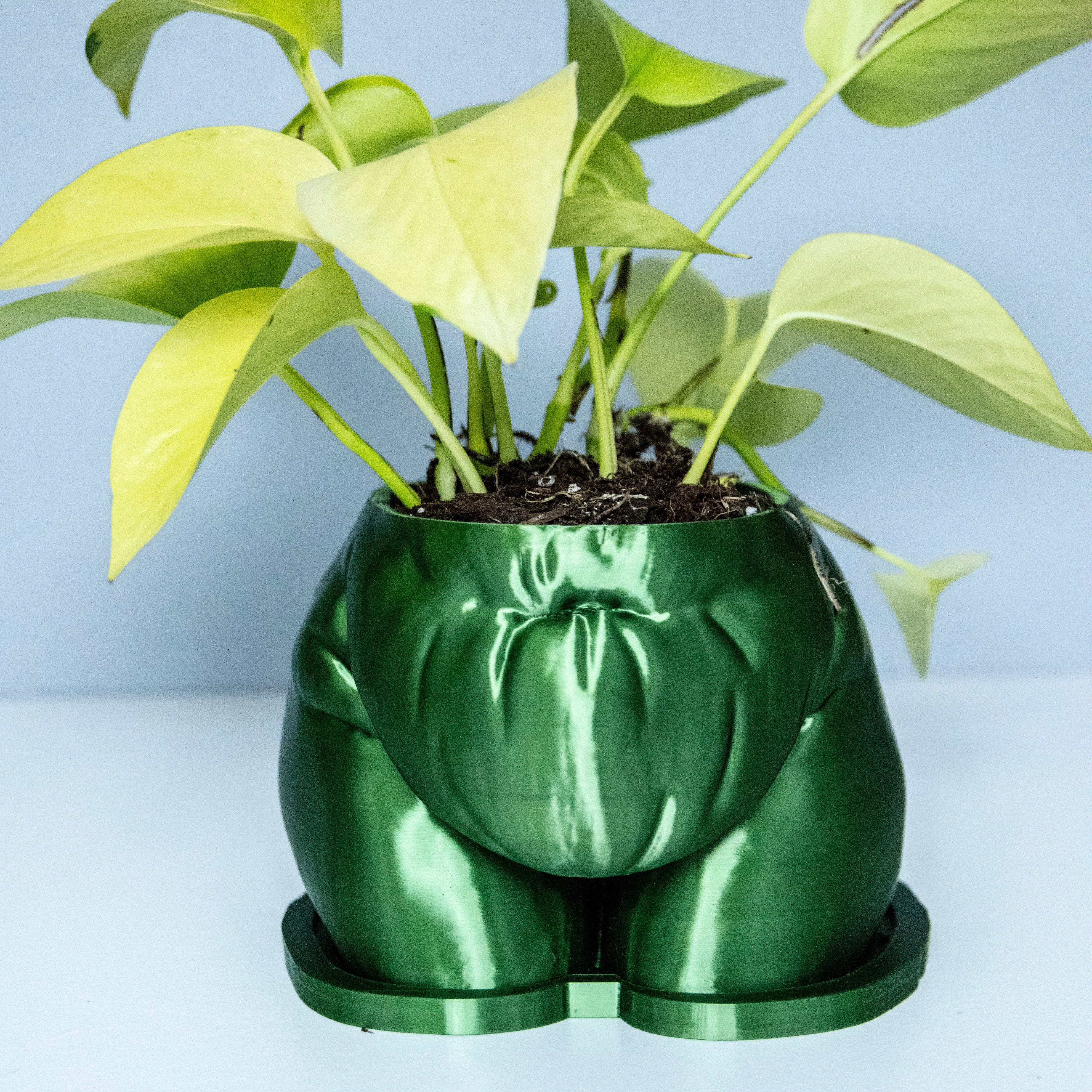 butt plant pot Fanny" Planter