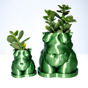 "Frankie" Planter