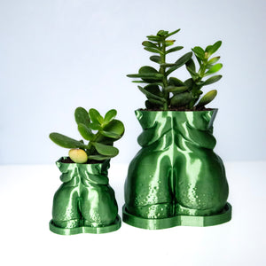 "Frankie" Planter