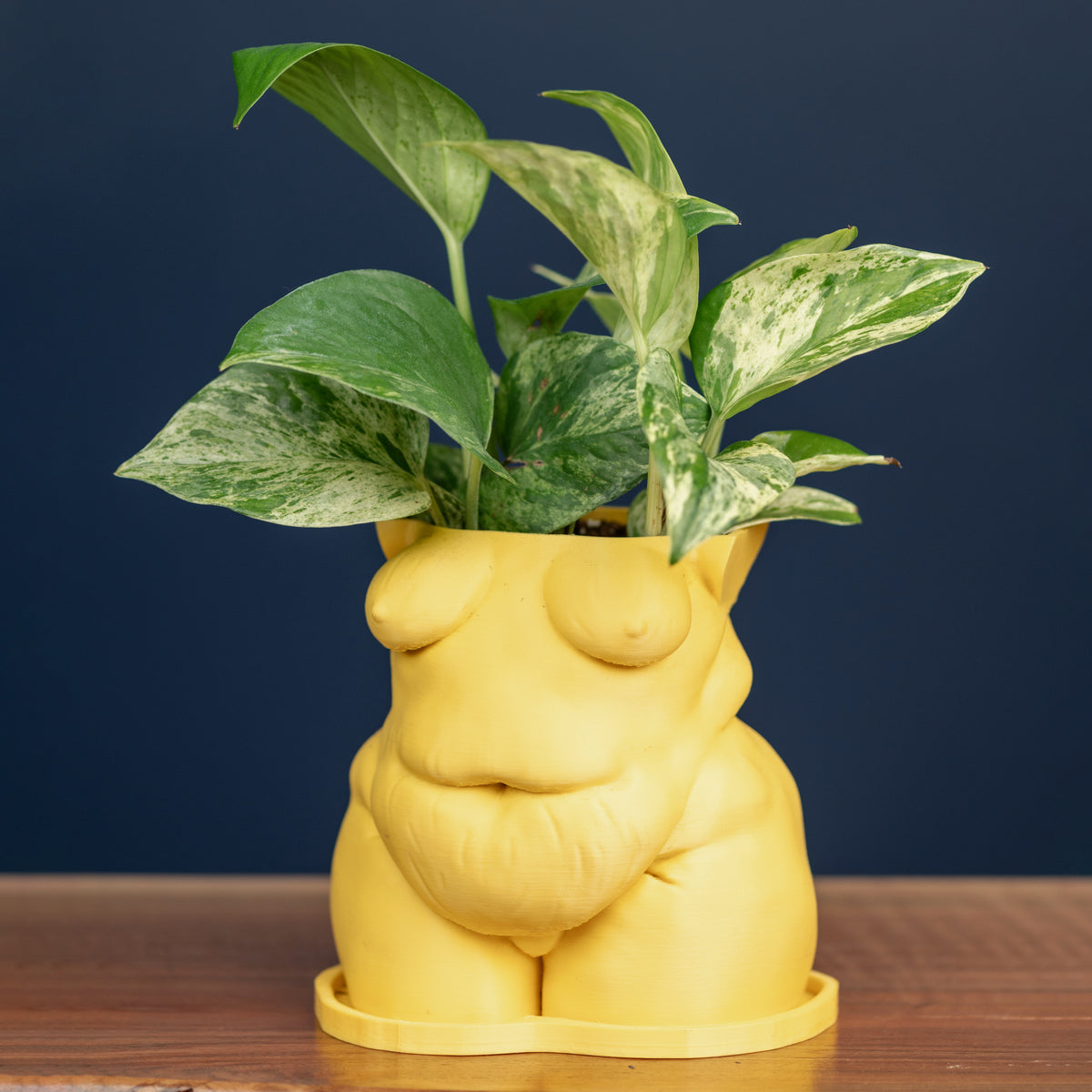 Mystery *Demo* Planters