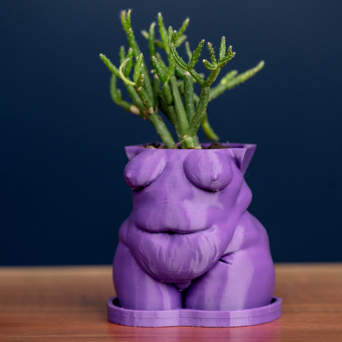 Mystery *Demo* Planters