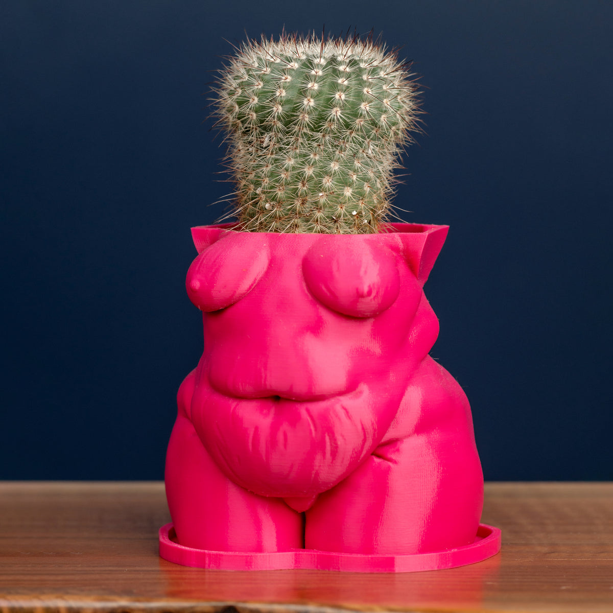 Mystery *Demo* Planters