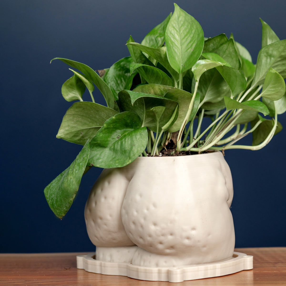 Mystery *Demo* Planters