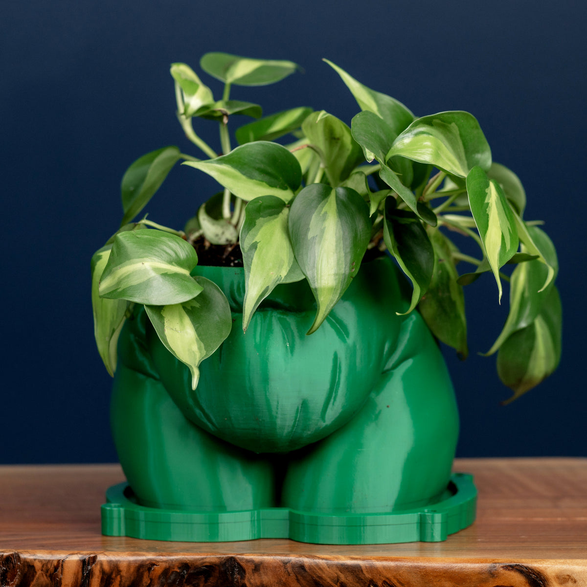 Mystery *Demo* Planters