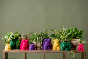 Custom Planter Options