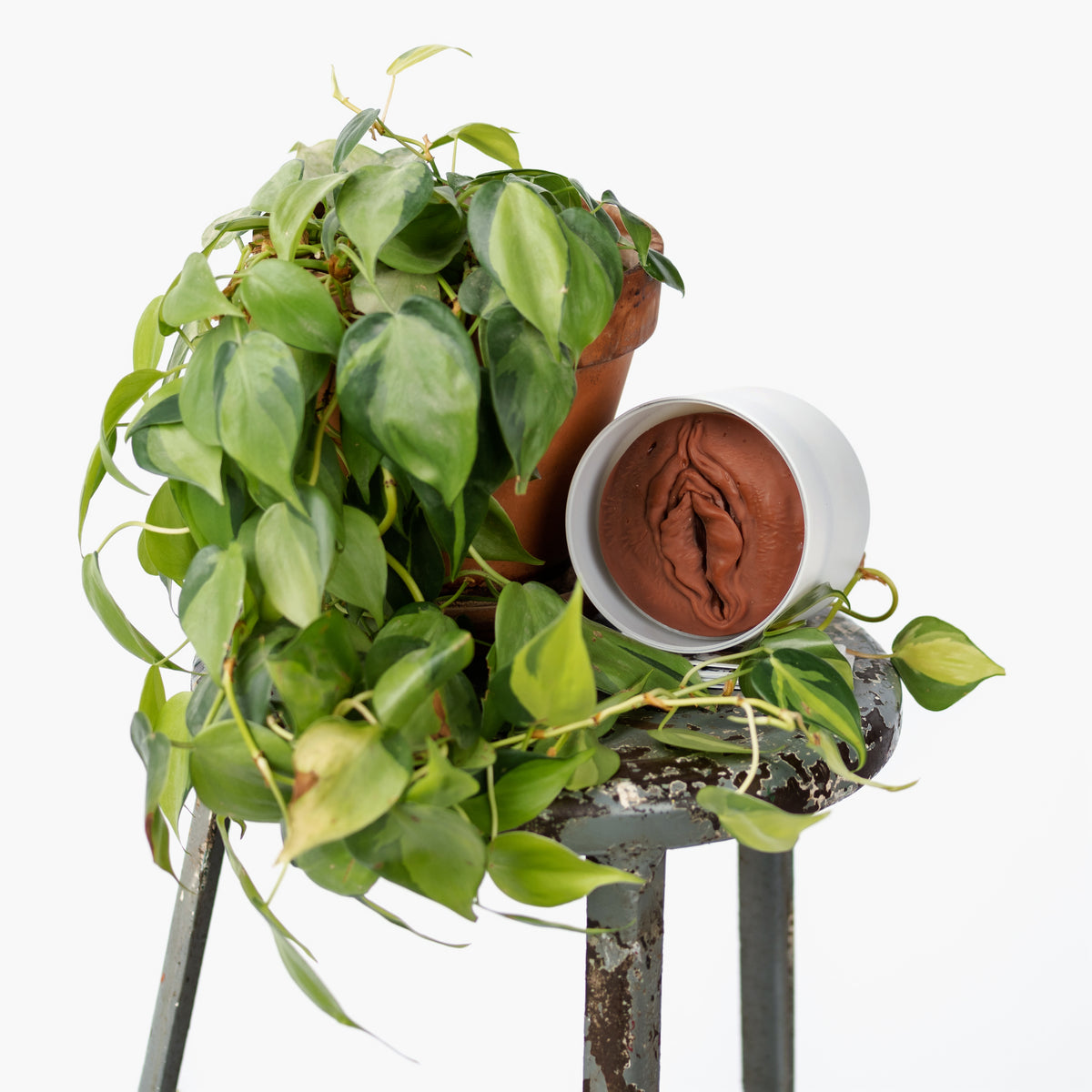 Wickless Vulva Candle