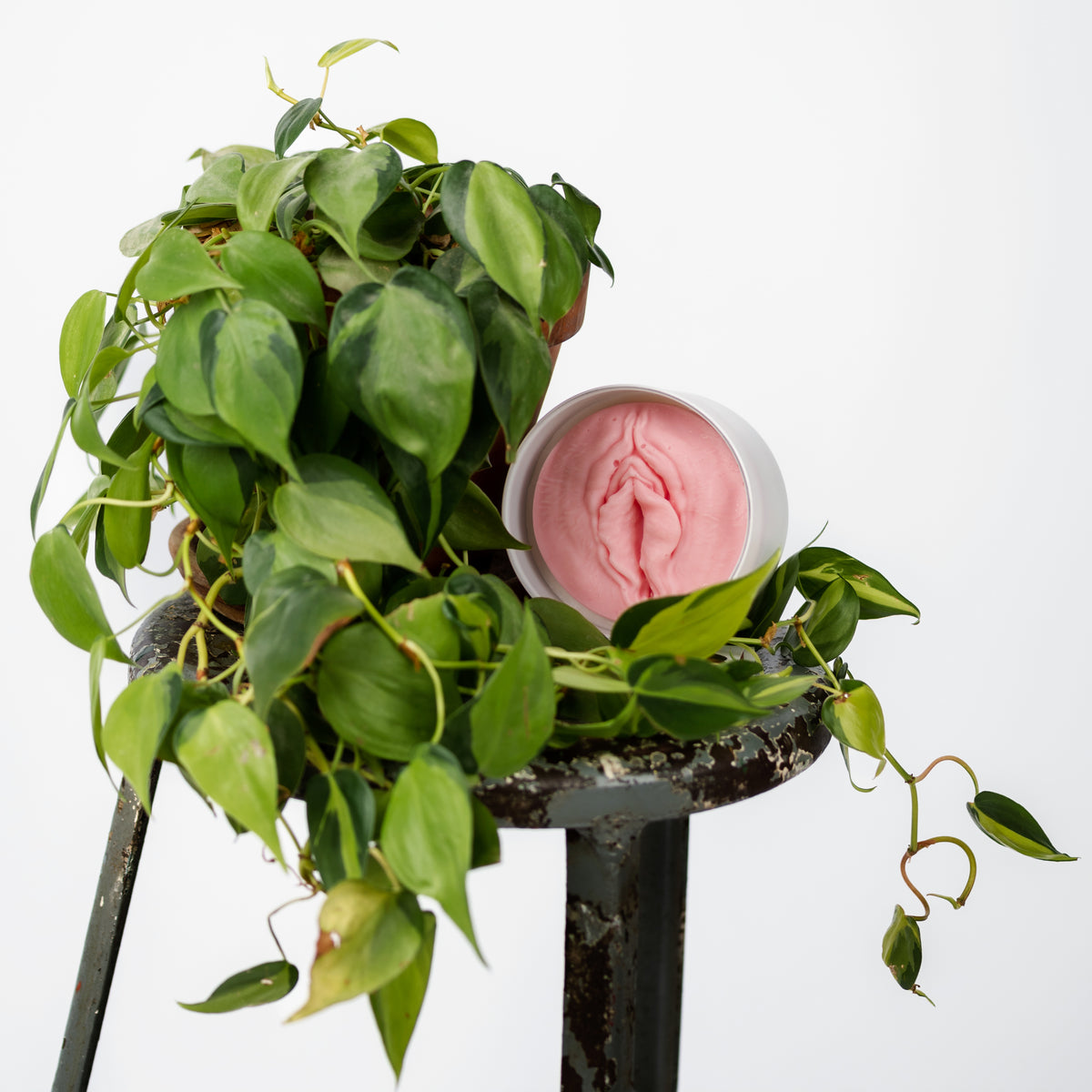 Wickless Vulva Candle