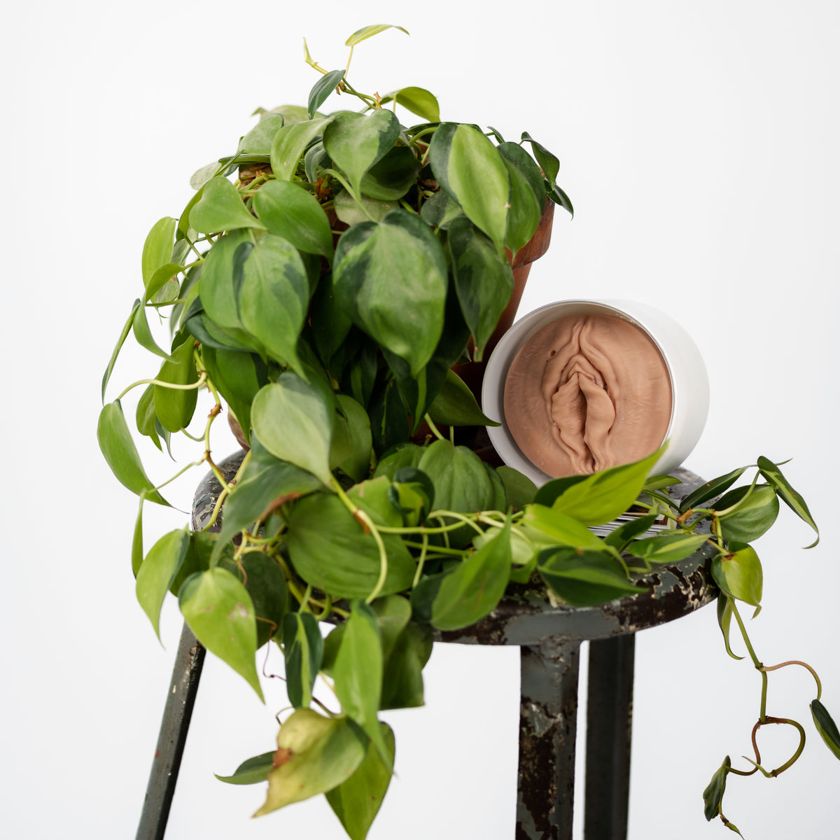 Wickless Vulva Candle