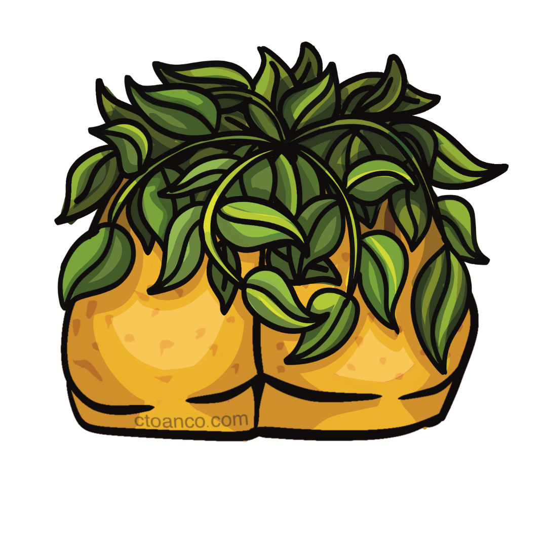 Fanny Planter Sticker