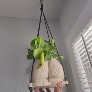 Hanging "Fanny" Planter