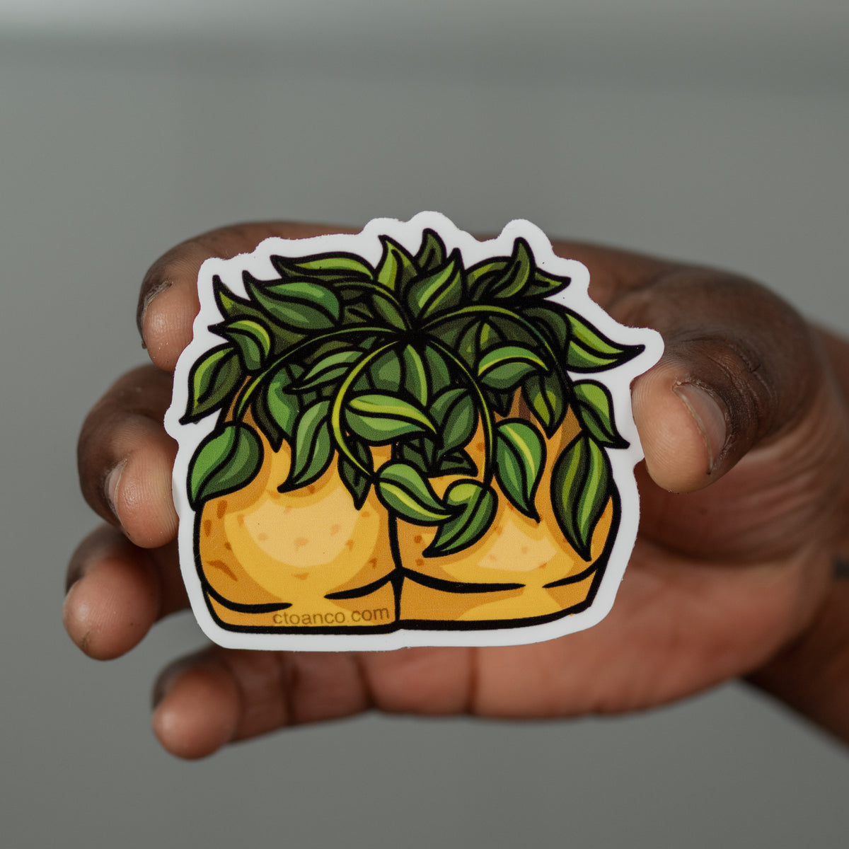 Fanny Planter Sticker
