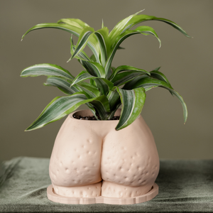 "Fanny" Planter