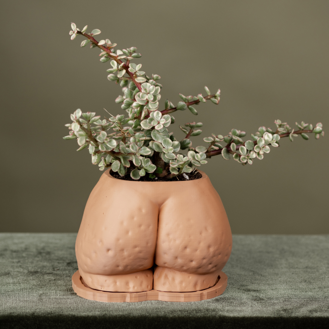 typo planter pot Fanny" Planter
