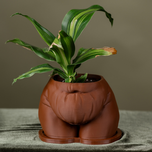 "Fanny" Planter