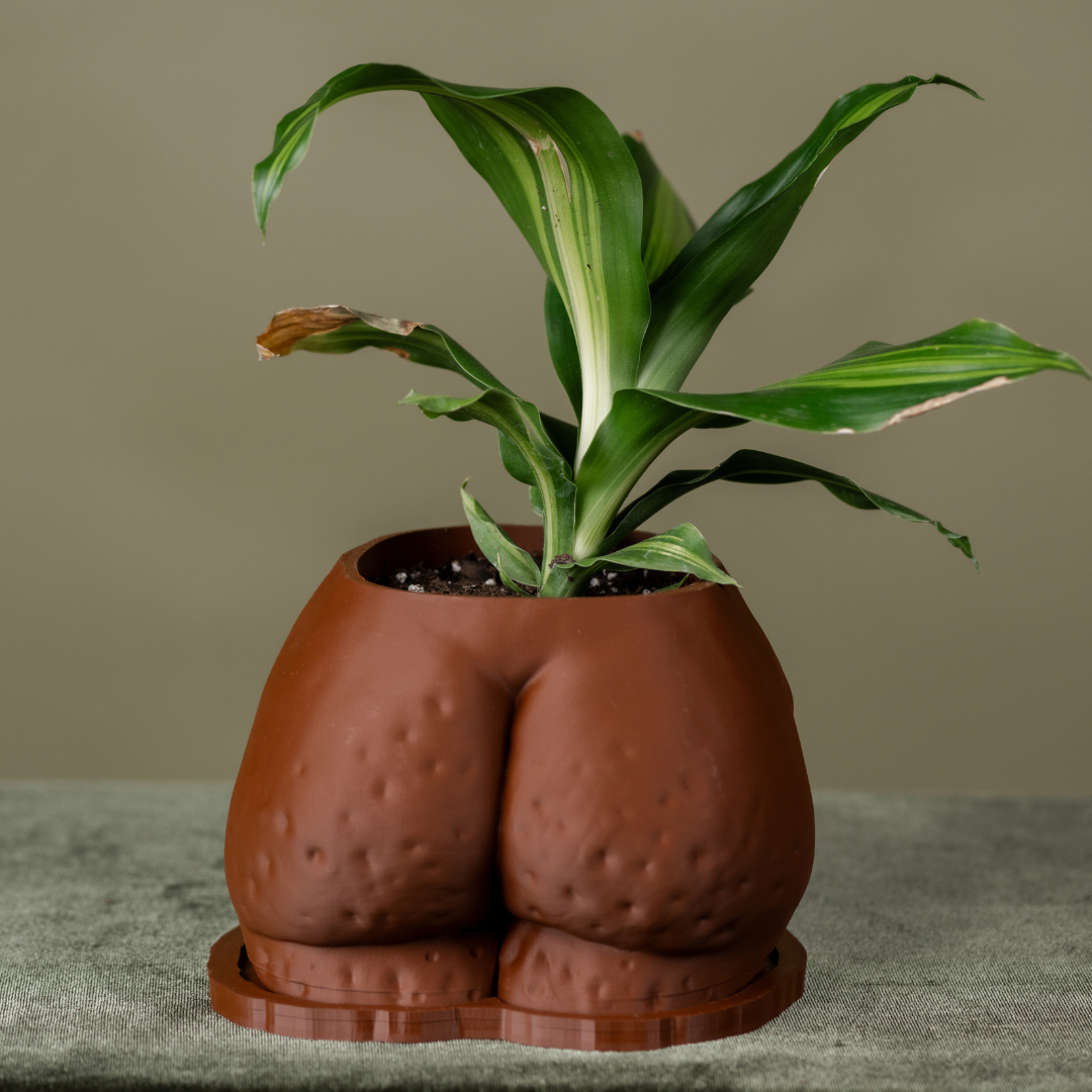 butt plant pot Fanny" Planter