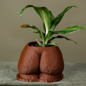 "Fanny" Planter