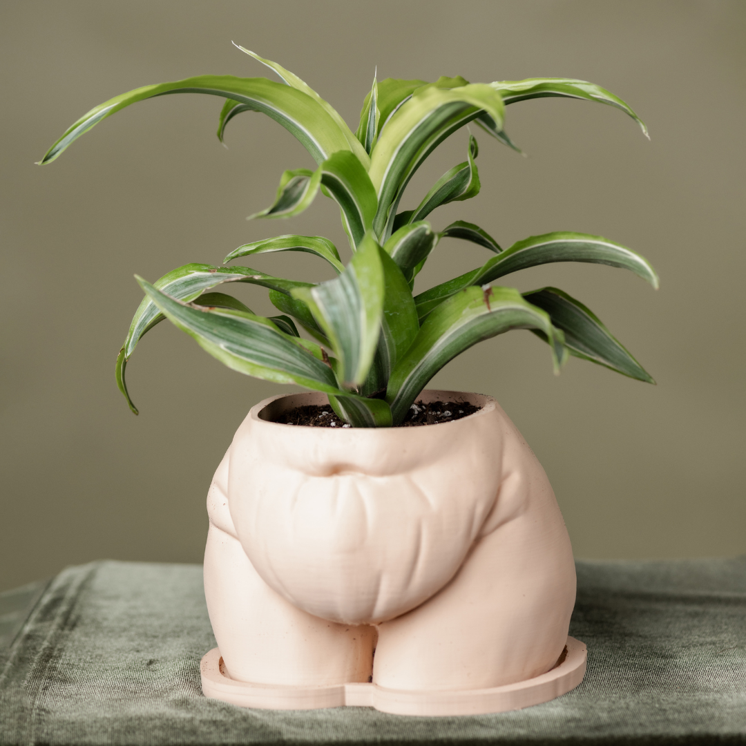 butt plant pot Fanny" Planter
