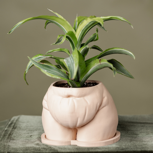 "Fanny" Planter