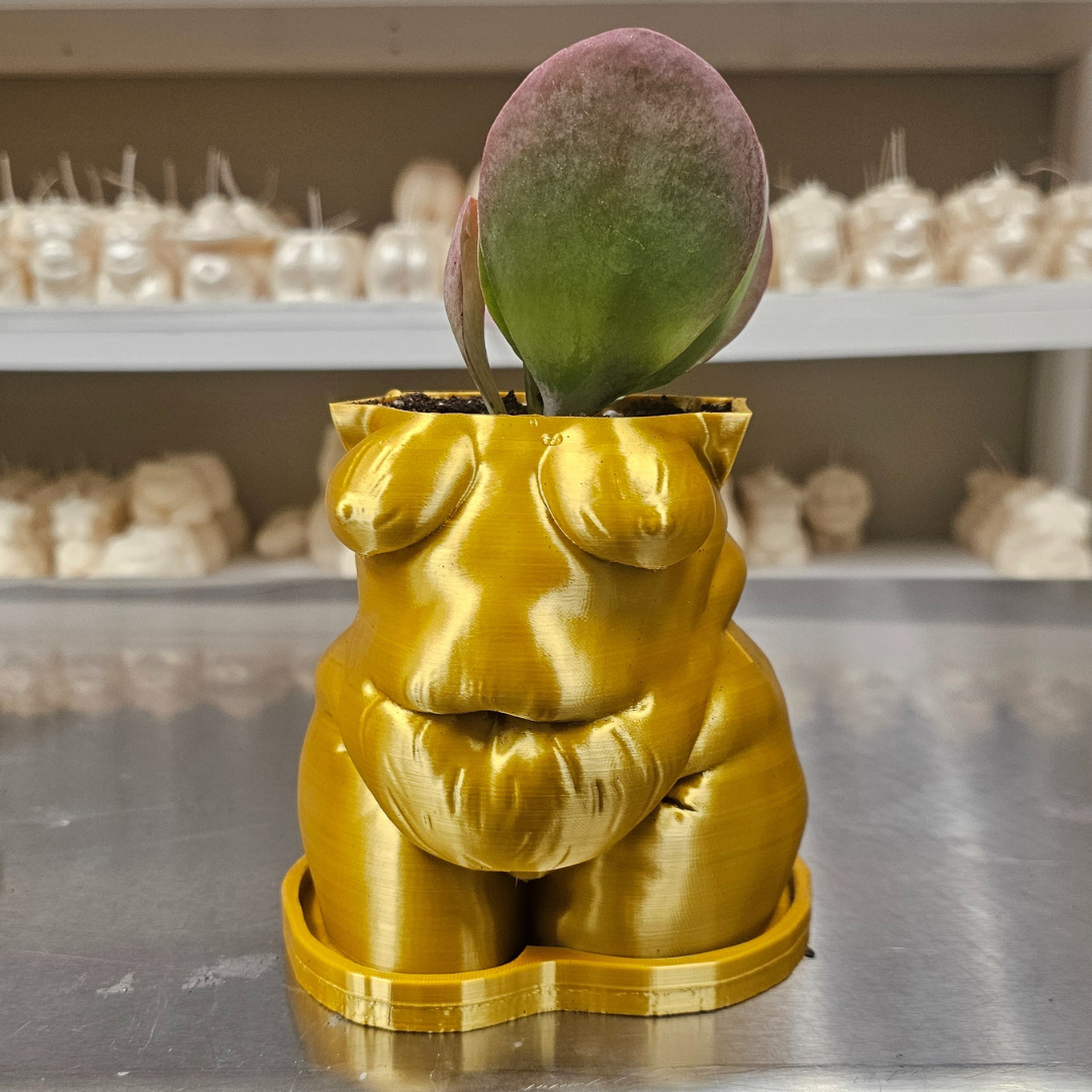 Mystery *Demo* Planters