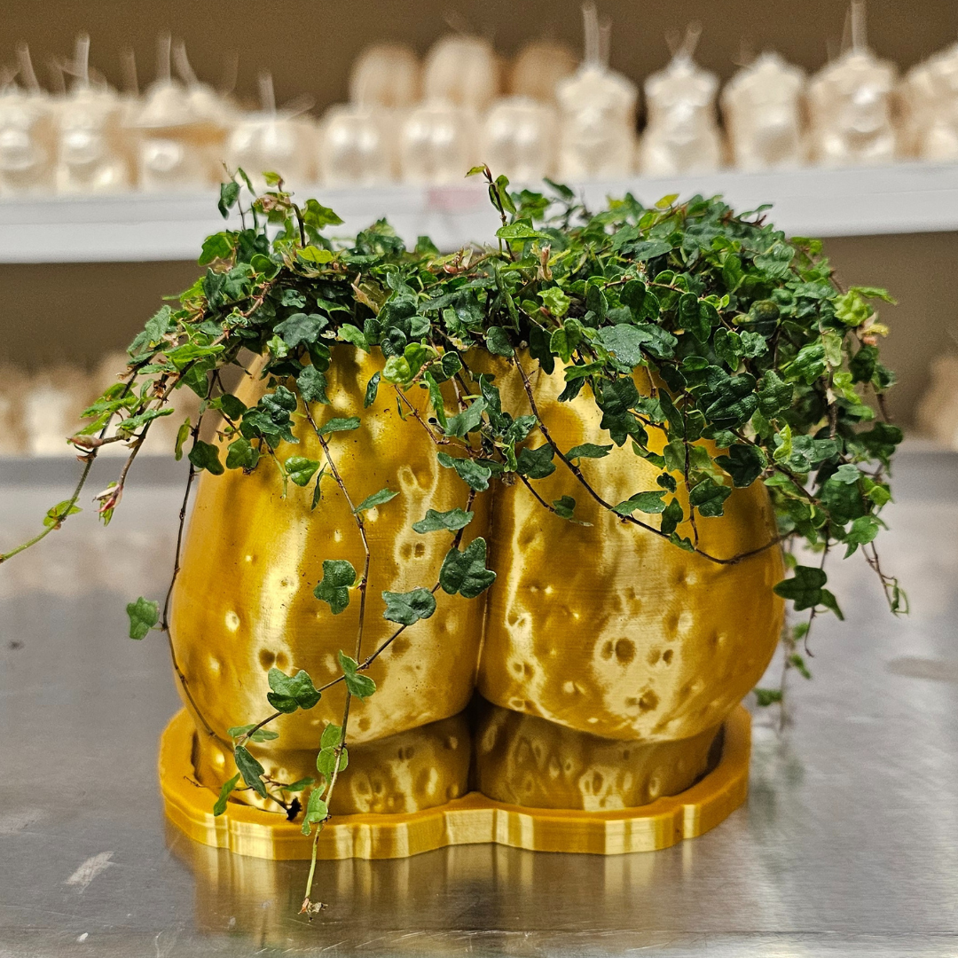 Mystery *Demo* Planters