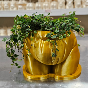 "Fanny" Planter