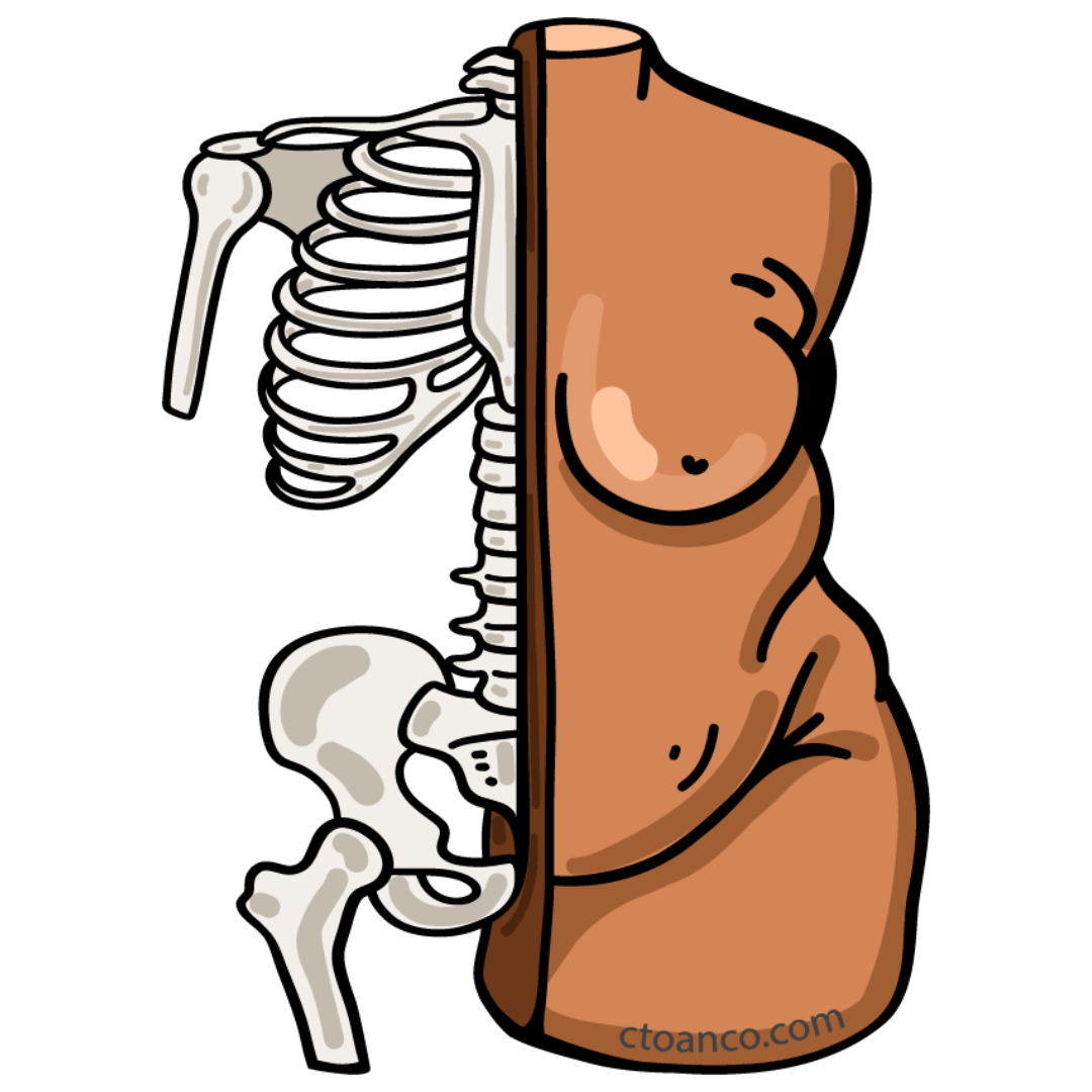 Brooklyn Skeleton Sticker