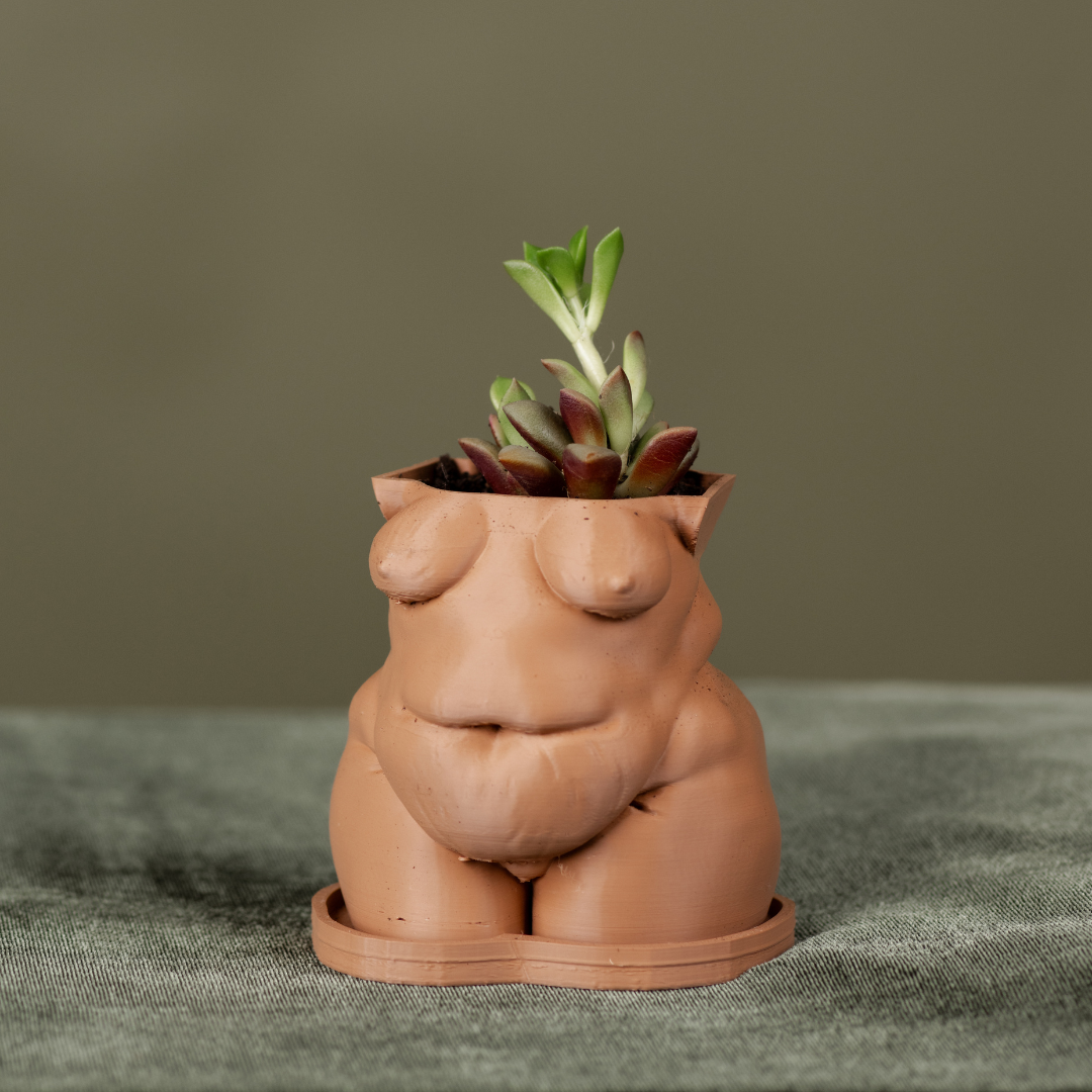 sculpture plant pots Frankie" Planter
