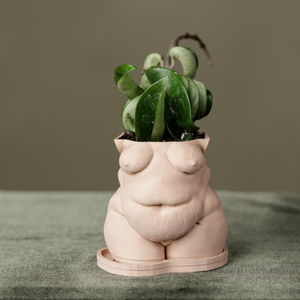 "Frankie" Planter