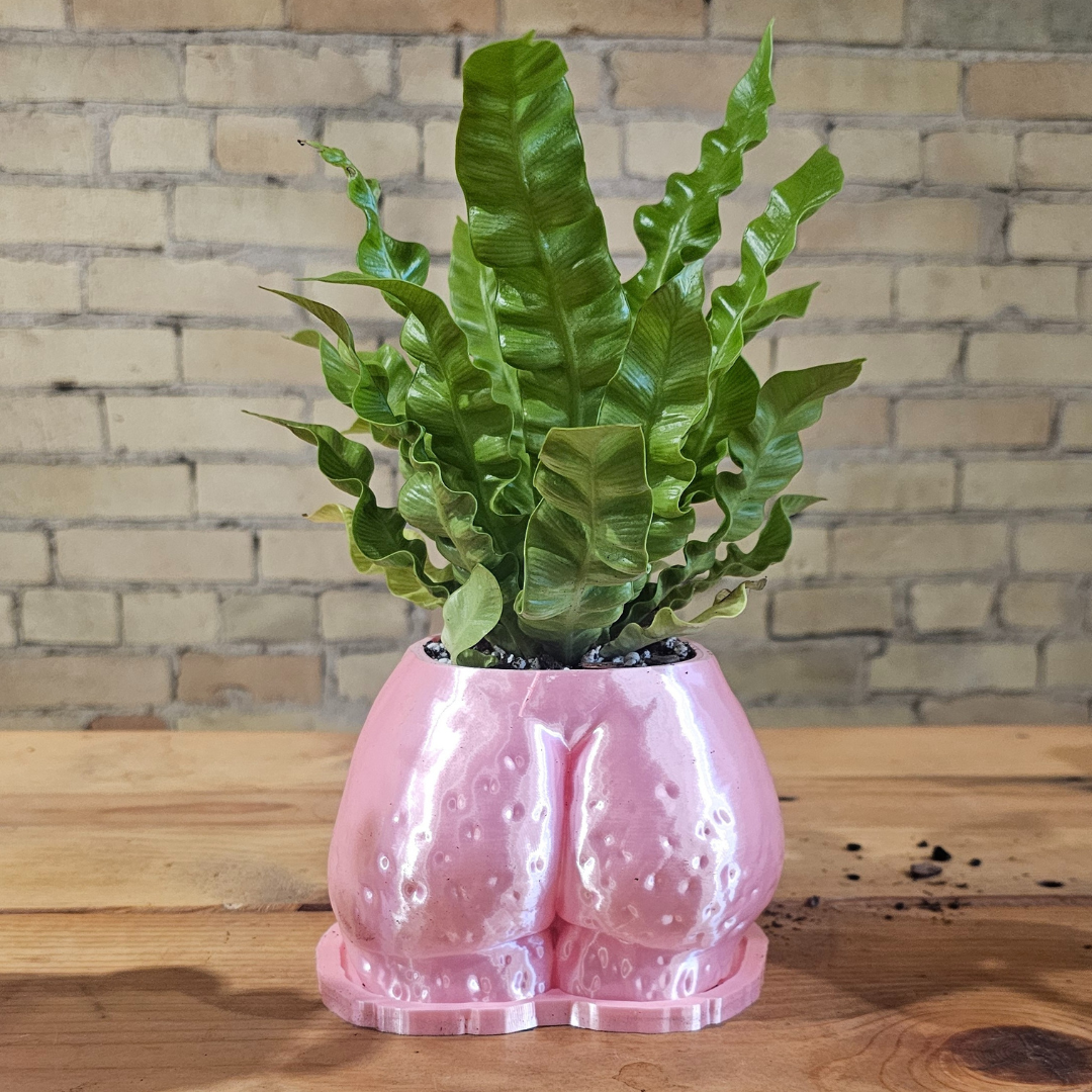 Mystery *Demo* Planters