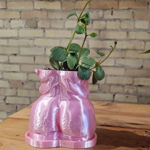 "Frankie" Planter