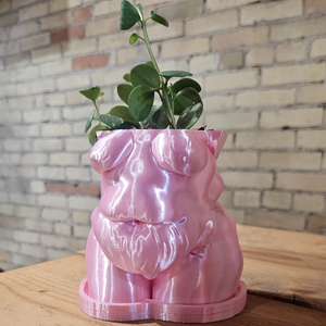 "Frankie" Planter