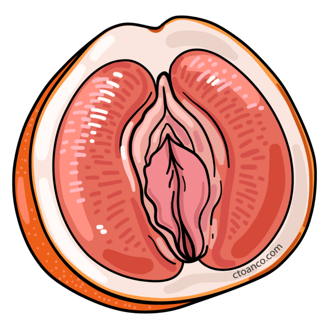 Fruit and Veggie Sticker Pack